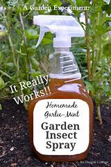 Organic Pest Spray For Vegetable Garden
