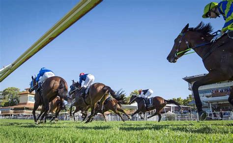 A Look Back At The Western Australian Derby Racing And Wagering Wa