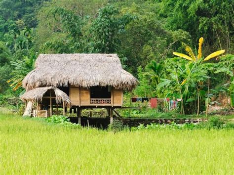 Experience The Sri Lankan Traditions And Rural Village Life Hut