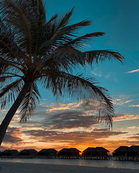 Sunset Eve Beach Birdeye Maldives Clouds Evening Island Lovely