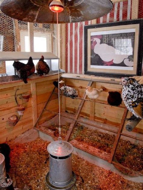 Best Creative Chicken Coop Decor Ideas To Steal Chicken Coop