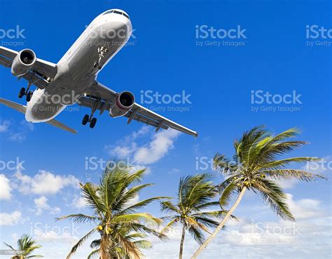 Airliner Landing Over Palm Trees Stock Photo Download Image Now