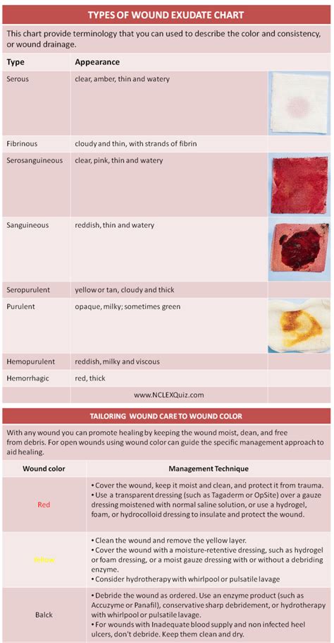 Types of Wound Exudate Cheat Sheet - NCLEX Quiz