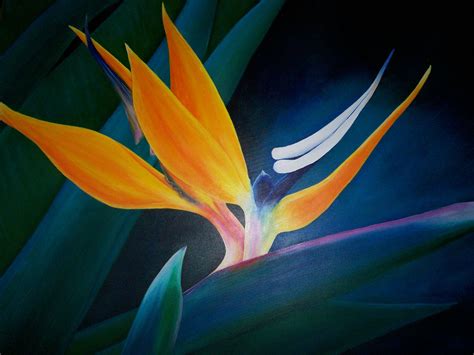 Bird Of Paradise Painted In Acrylic On A Large Canvas 2005 Birds Of