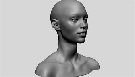 Artstation Female Head Basemesh Resources