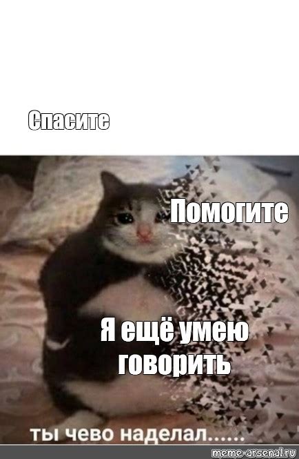 Нужно научиться говорить нет. Люди ничего не ценят. Учитесь говорить нет. Умей сказать да. Просто я не умею говорить.