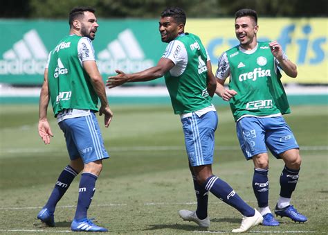 verdão finaliza preparação para enfrentar o paraná e embarca para londrina palmeiras todo dia