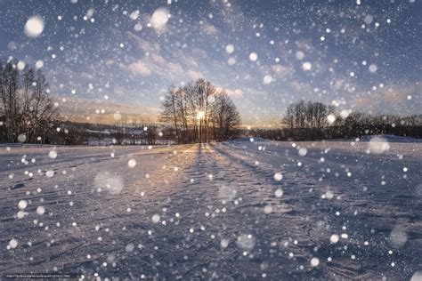 Descarca Imagini De Fundal Iarnă Apus De Soare Zăpadă Copaci Imagini