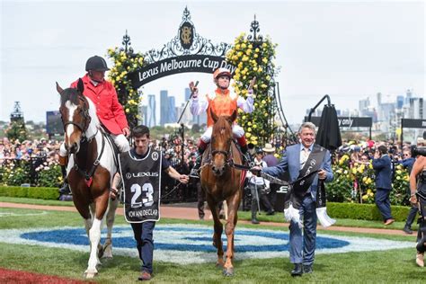 Vow And Declare Wins The 2019 Melbourne Cup Gympie Riding High On Back Of Cup Victory