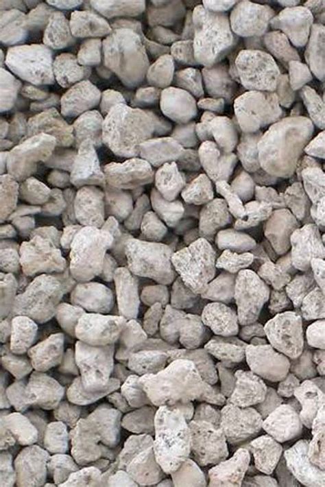 5 out of 5 stars. Natural Pumice Stones for Plants - Plant Care | Plantshop.me