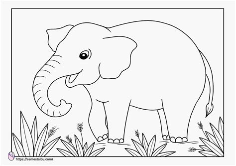 Gambar Mewarnai Hewan Gajah Riset