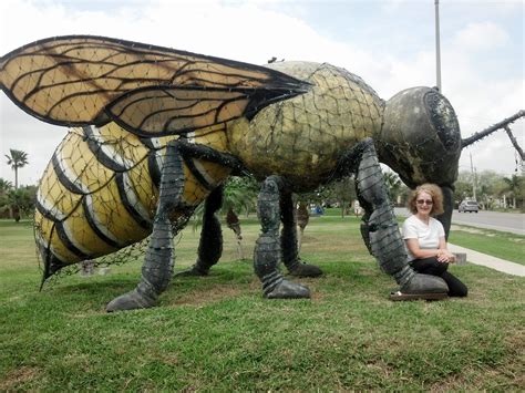 The World's Largest Killer Bee Can be Found in This Texas Town