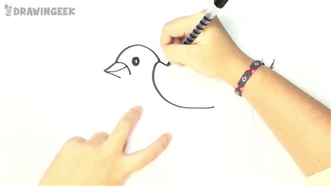 How To Draw A Bird For Kids Bird Drawing Lesson Step By Step Youtube