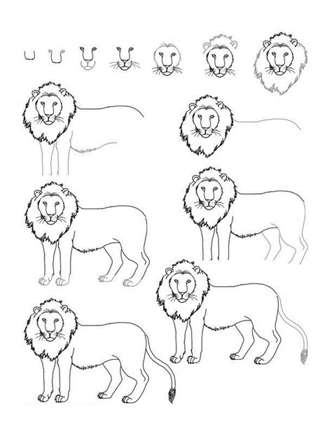 How To Draw A Lion For The Love Of Education Pinterest Lions