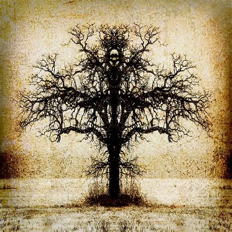 Symmetry Tree 6 By Amira Redbubble