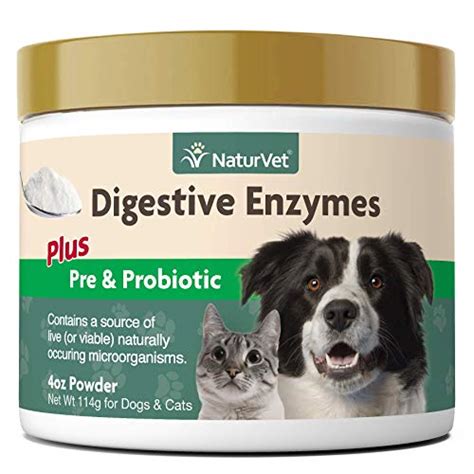 Diabetes in cats may develop as a consequence of another disease or the administration of diabetogenic drugs, such as glucocorticoids and these diseases may account for approximately up to 20% of diabetic cases in cats. The 25 Best Probiotics for Cats of 2020 - Cat Life Today