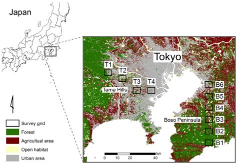 Map Of The Study Area In The Tokyo Metropolitan Area Of Japan Survey