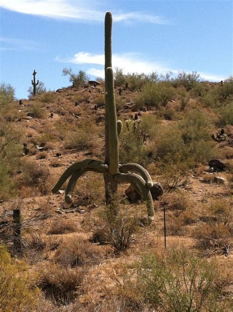 biggles ryan job navy seal - Lionhearted Blogosphere Slideshow