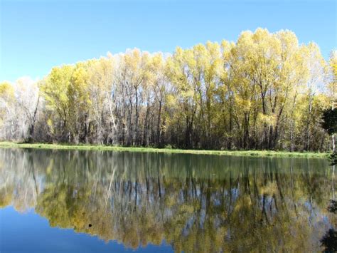 Lakes On The Chama Chama Rio Arriba County New Mexico
