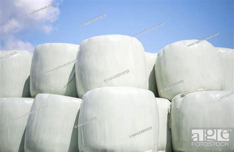 Straw Bales Winter Fodder Bales Wrapped In Foil And Stacked Velbert