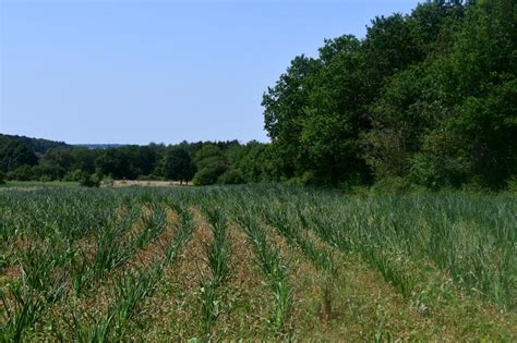 Jun 23, 2021 · d'après un rapport interne du giec, les conséquences du réchauffement climatique sont encore plus dramatiques que prévu. Changement climatique: le coronavirus perturbe aussi l ...