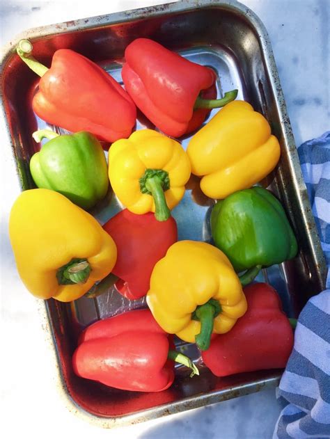 The visuals didn't serve paprika is satoshi kon's most vivid and wildly imaginative work. Gegrilde paprika in de oven | Made by Ellen