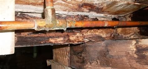 Call us on 0401 012 074 to learn more. Quality Building Inspections Sydney | Pest Inspections Sydney