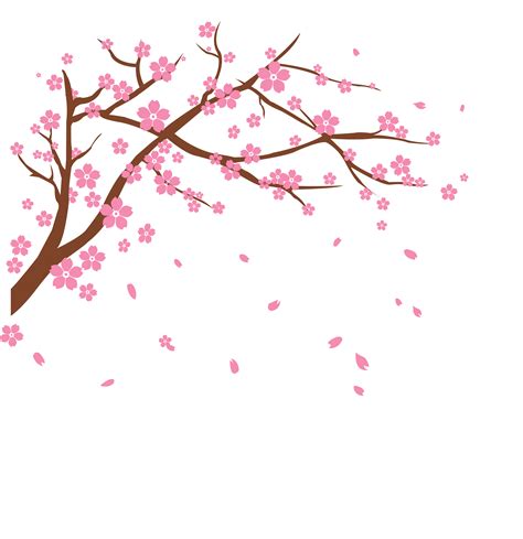 Cherry tree branch picture royalty free download | Cherry blossom art gambar png