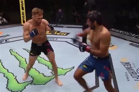 Assyrian american born in iran fight for the ufc. Beneil Dariush u 25. sekundi meča spektakularno nokautirao protivnika - Klix.ba
