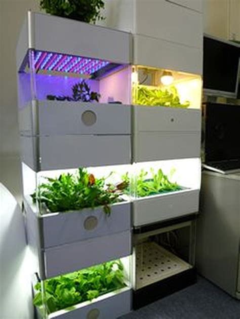 Hydroponic systems are characterized as active or passive. 32 Indoor Hydroponic Garden To Decorate Your House - Home ...