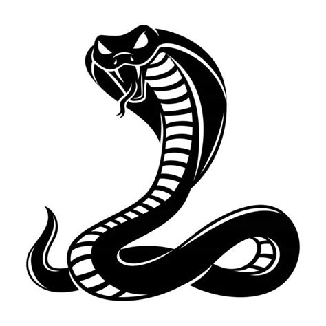 Ilustración Vectorial De Serpiente Silueta Logo Icono Vectores Libres