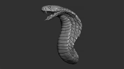 Artstation Snake Cobra Resources