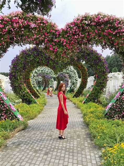 Dubai miracle garden beau site tall flowers living fence dubai city dubai mall vegetable garden design united arab emirates burj khalifa. 50 million blooms to wow visitors at Dubai Miracle Garden