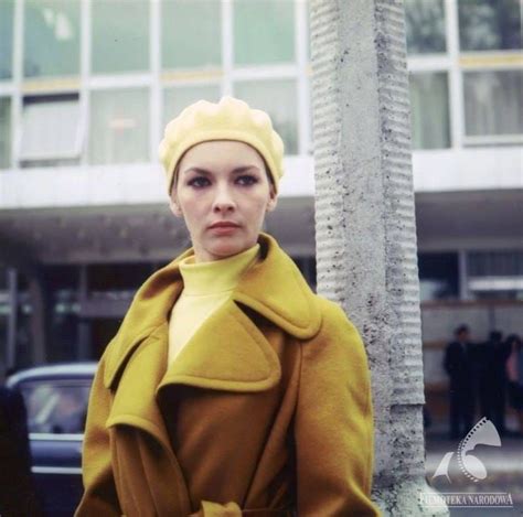 40 Beautiful Photos Of Barbara Brylska In The 1960s And 70s ~ Vintage Everyday