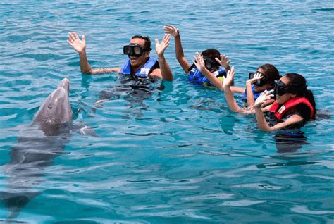 Spend The Day At Sea Life Park 800 667 5524
