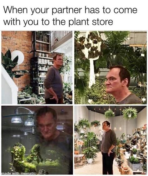 pin by cookie s diary on plant lover plant jokes plant memes plant humor