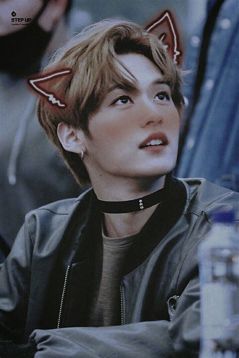 In the stray kids survival show, lee know was eliminated on the 4th episode but he was given the chance to come back. Lee Know.Lee Minho_Stray kids_boy_cat | Boy cat, Kids boys ...