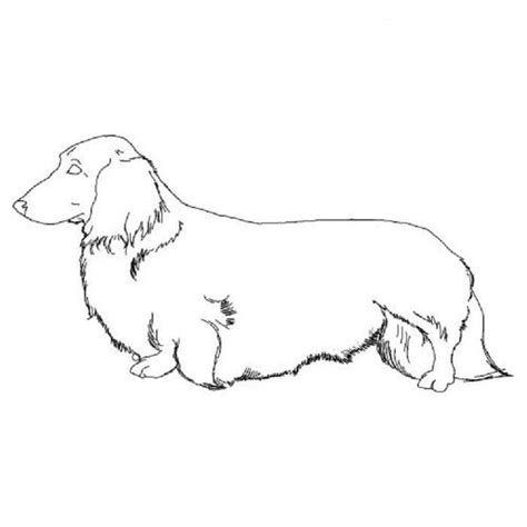 She finally came back after a long absence in pups save ace's birthday surprise. Dachshund Dog Coloring Pages | Dog coloring page ...