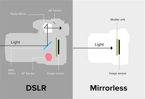 Dslr Vs Mirrorless Whats The Difference Make Tech Easier