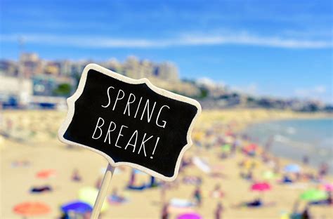 How to Use Your Spring Break Effectively - Law School Toolbox®