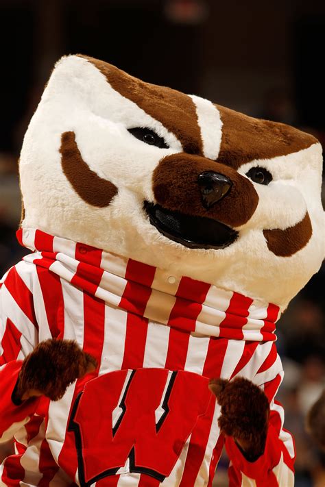 Bucky Badger And The Funniest And Most Bizarre Mascot Thefts Ever