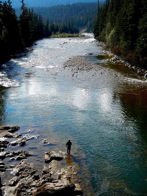 River synonyms, river pronunciation, river translation, english dictionary definition of river. Zymoetz River - Wikipedia