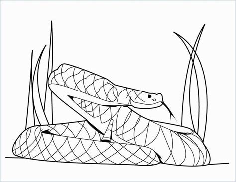 Each small arizona diamondbacks logo cut out takes up about a fourth of the size of one 8.5 x 11 inch piece of computer paper. Enjoy These Snake Coloring Pages To Increase Your Kids ...
