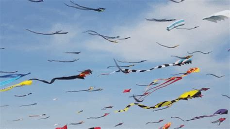 Fly A Kite Day GIFs Get The Best GIF On GIPHY