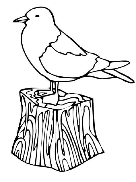 Seagull coloring pages. Download and print Seagull coloring pages