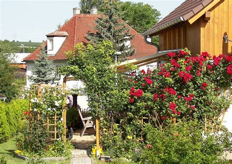 Check spelling or type a new query. Mit Rosen den Garten gestalten :-) 10 Ideen