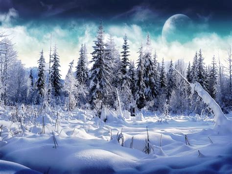 Winter Snow Wallpapers Crazy Frankenstein 1920×1200 Snow Wallpapers 37