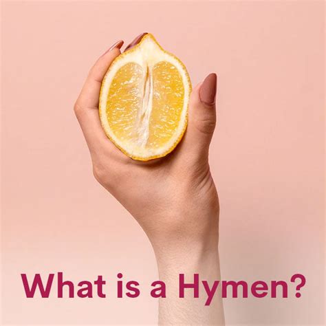 Hymen What Is A Hymen And How Does It Break Wuka