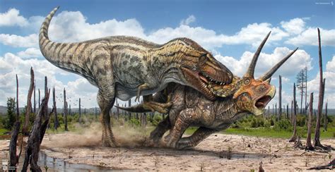 T Rex Vs Triceratops T Rex Animaux Préhistoriques Art De Dinosaures