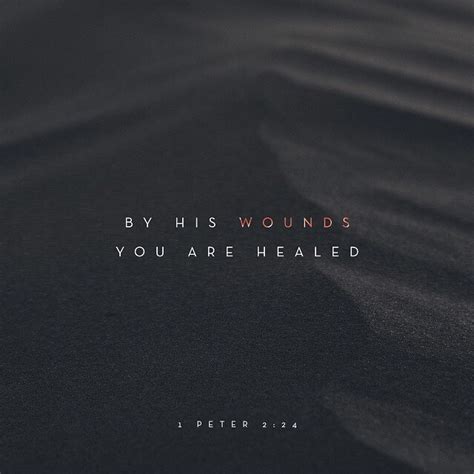 And He Himself Bore Our Sins In His Body On The Cross So That We